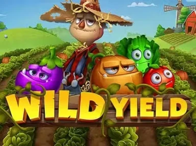 Wonder Casino screenshot